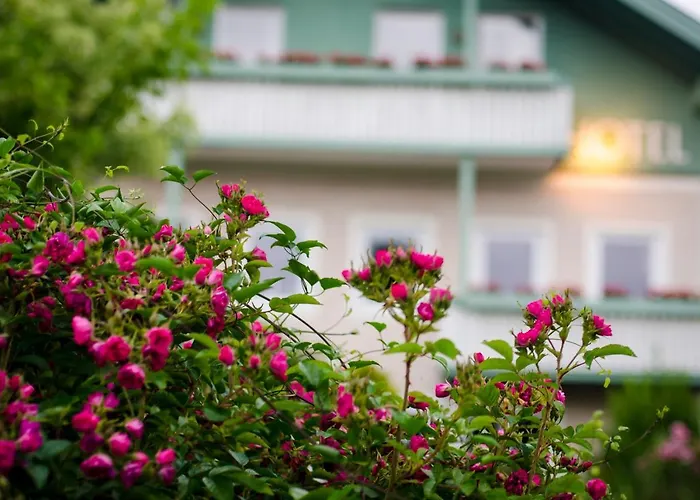Gartenhotel Salzach מלון 3*