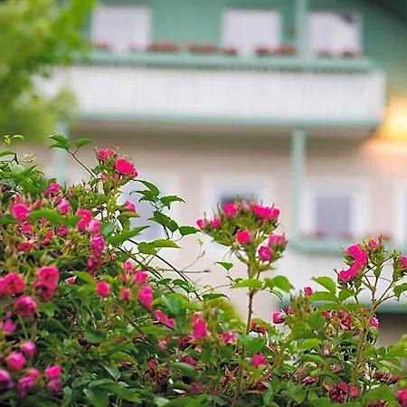 Hotel Gartenhotel Salzach Burghausen