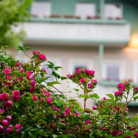 Gartenhotel Salzach Hotel 3*